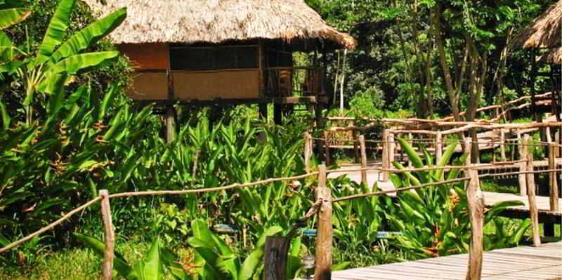 Cotton Tree Lodge San Felipe  Exterior photo